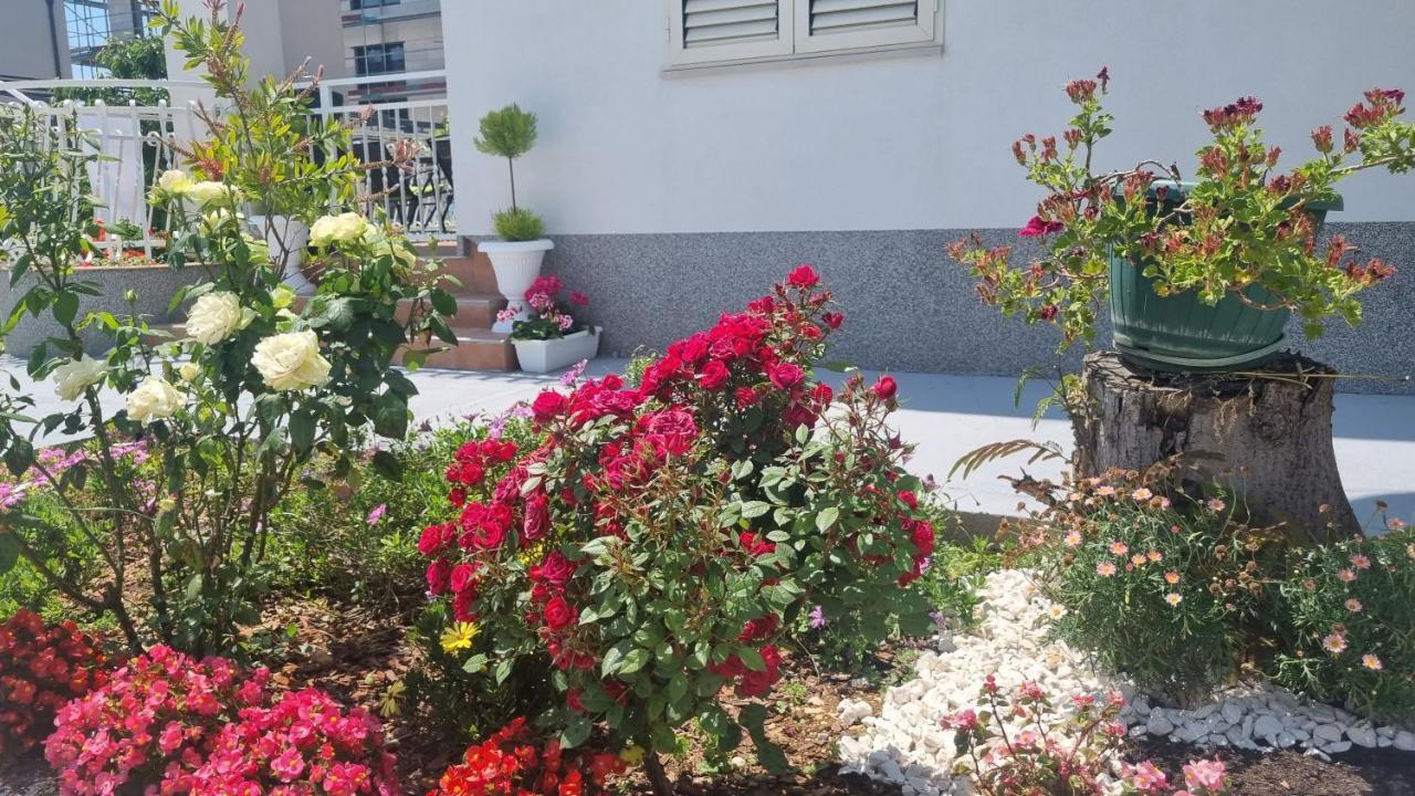 Luxa 5 Min Old Town, 10 Min Airport *